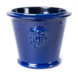 Lejonkruka stor - Bild 2