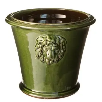 Lejonkruka stor - Bild 3